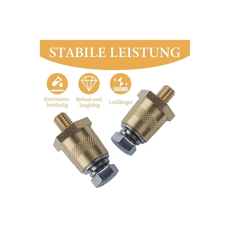 Kit Bornas Batería con Tornillo +10 / -8 | HouseMovilSur